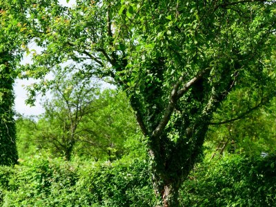 Holiday house Two bedroom house with terrace Rakovica, Plitvice K-21794 - Outdoor photo 15