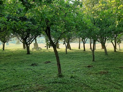Holiday house Two bedroom house with terrace Rakovica, Plitvice K-21794 - Outdoor photo 48