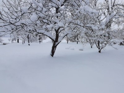 Holiday house Two bedroom house with terrace Rakovica, Plitvice K-21794 - Outdoor photo 49