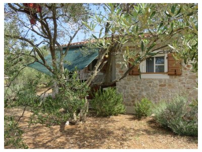 Holiday house Two bedroom house near beach Cove Sveti Ante, Pašman K-23183 - Outdoor photo 3