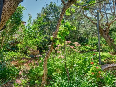 Apartment Three bedroom apartment with balcony and sea view Martinšćica, Cres A-23222-a - Outdoor photo 12