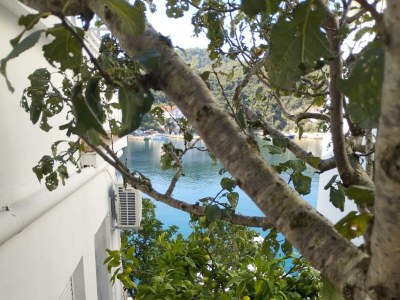 Apartment Three bedroom apartment near beach Zaglav, Dugi otok A-23204-a - Outdoor photo 13