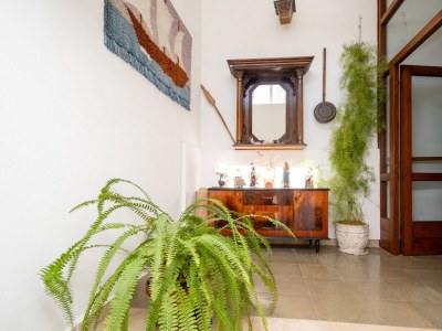 Apartment Three bedroom apartment near beach Zaglav, Dugi otok A-23204-a - Outdoor photo 33