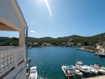 Apartment Three bedroom apartment near beach Zaglav, Dugi otok A-23204-a - Outdoor photo 44