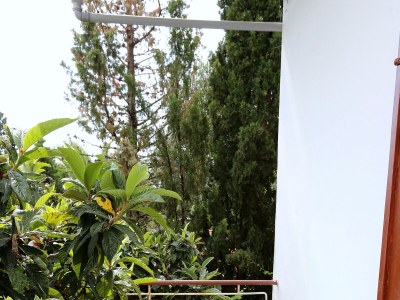 Apartment One bedroom apartment near beach Trpanj, Pelješac A-258-e - Outdoor photo 21