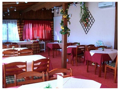 Apartment Two bedroom apartment near beach Kraj, Pašman A-334-b - Outdoor photo 16