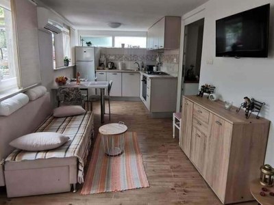 Apartment One bedroom apartment with terrace Bribir, Novi Vinodolski A-23380-a - Outdoor photo 8