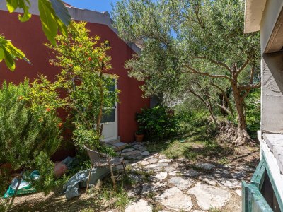 Apartment Apartments and rooms by the sea Podgora, Makarska - 2616 - Apartments and rooms by the sea Podgora, Makarska - 2616 - Outdoor photo 8