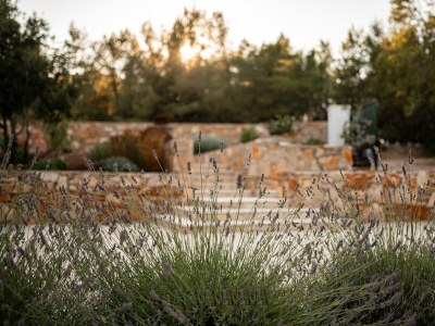 Holiday house Three bedroom house with terrace Basina, Hvar K-23475 - Outdoor photo 14