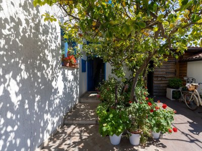 Apartment Studio flat with terrace Sućuraj, Hvar AS-6852-e - Outdoor photo 21