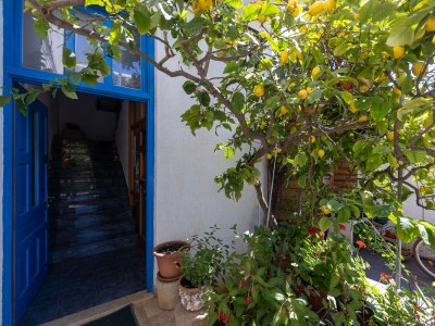 Apartment Studio flat with balcony Sućuraj, Hvar AS-6852-f - Outdoor photo 22