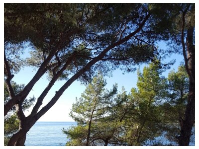 Holiday house One bedroom house near beach Maslinica, Šolta K-23755 - Outdoor photo 7