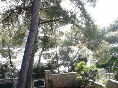 Holiday house One bedroom house near beach Maslinica, Šolta K-23755 - Outdoor photo 18