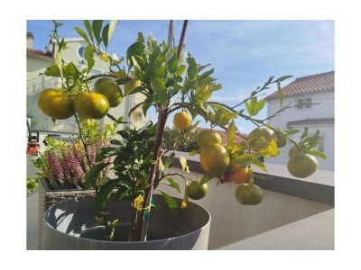 Apartment Two bedroom apartment with terrace Vodice A-23759-a - Outdoor photo 26