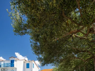 Apartment Studio flat with balcony Sućuraj, Hvar AS-6852-g - Outdoor photo 27