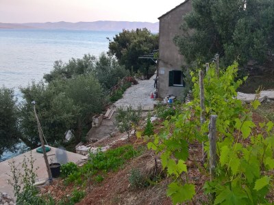 Apartment Seaside secluded apartments Cove Torac, Hvar - 4044 - Outdoor photo 7