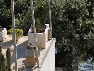 Apartment Seaside secluded apartments Cove Torac, Hvar - 4044 - Outdoor photo 8