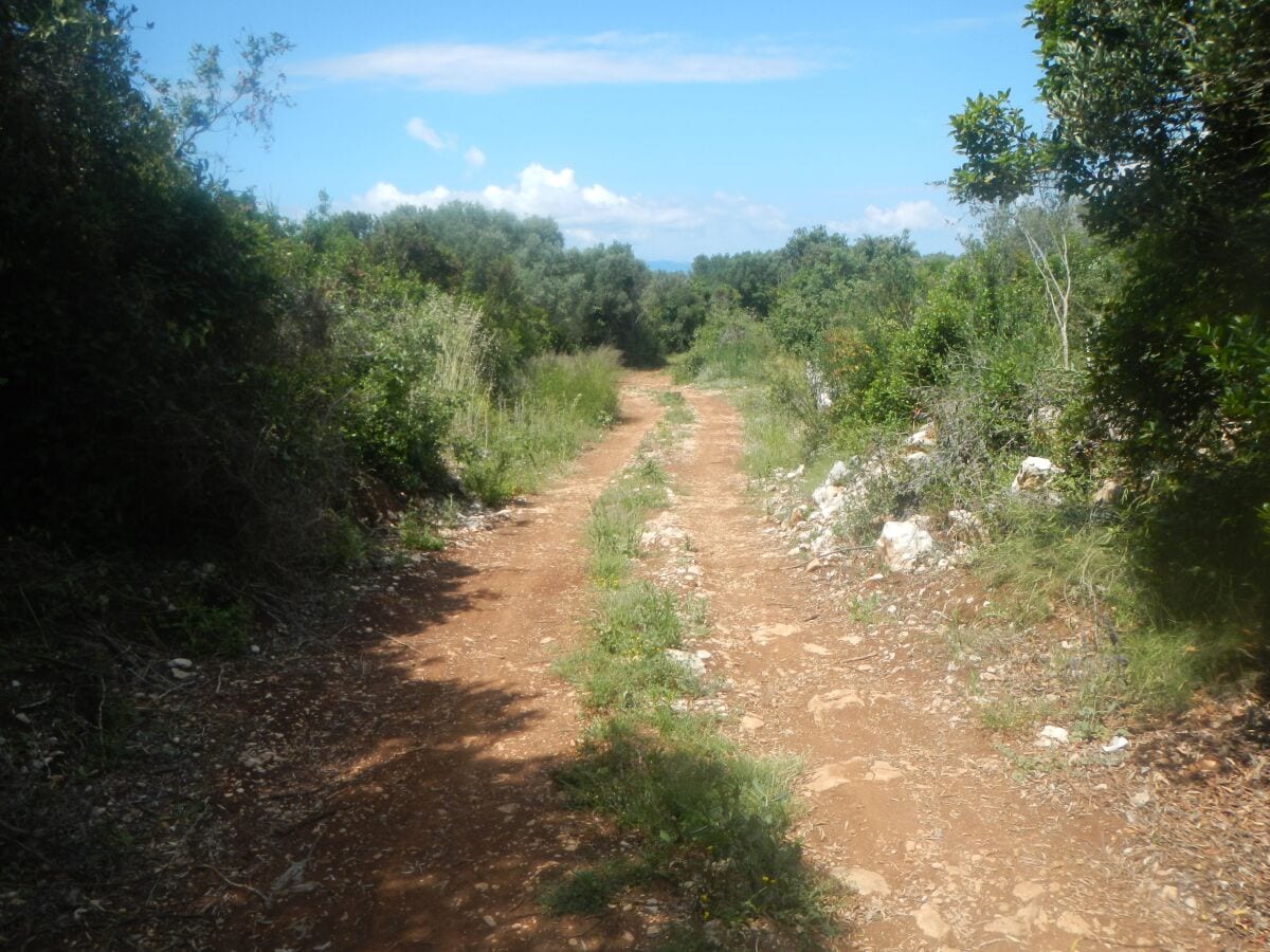 Holiday house Two bedroom house with terrace Cove Neviđansko Polje, Pašman K-12806 - Outdoor photo 5