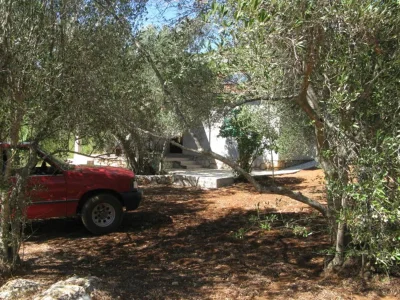 Holiday house Two bedroom house with terrace Cove Neviđansko Polje, Pašman K-12806 - Outdoor photo 4