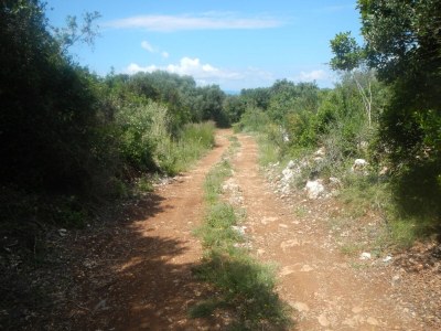 Holiday house Two bedroom house with terrace Cove Neviđansko Polje, Pašman K-12806 - Outdoor photo 5