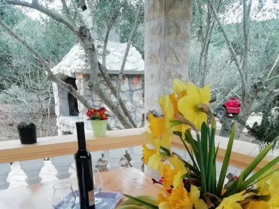 Holiday house Two bedroom house with terrace Cove Neviđansko Polje, Pašman K-12806 - Outdoor photo 15