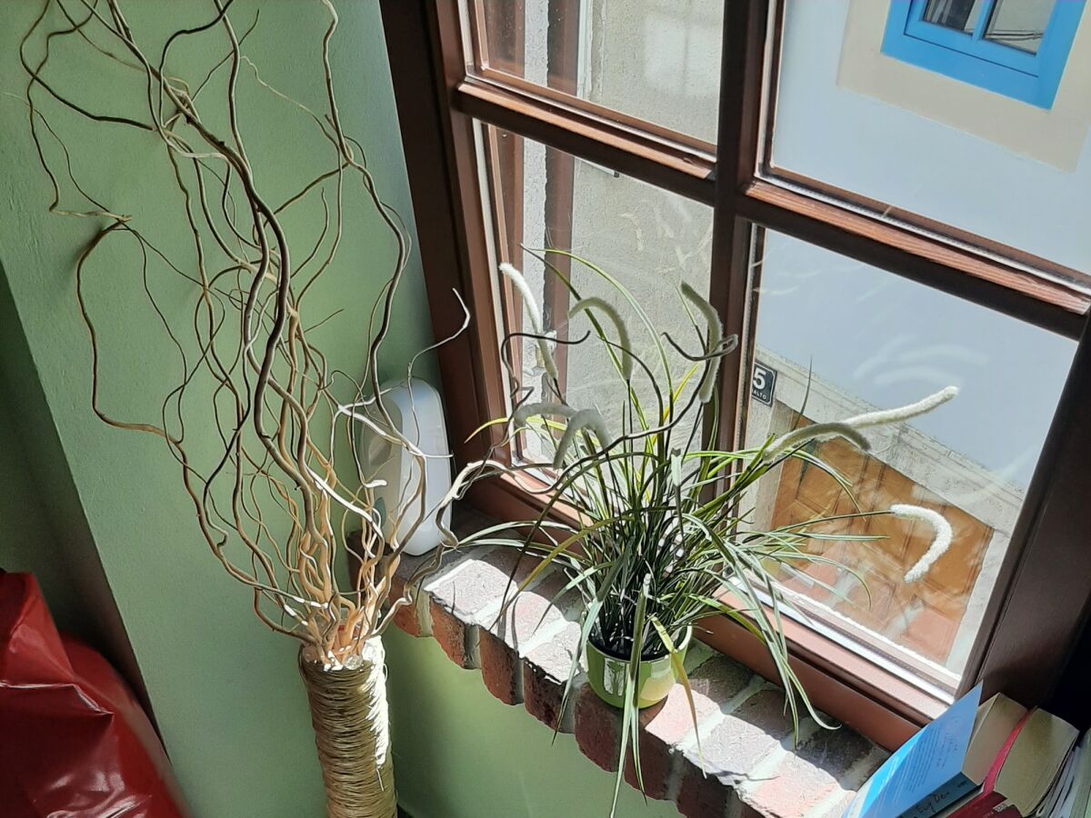 Apartment Studio flat with air-conditioning Cres AS-13312-a - Outdoor photo 4