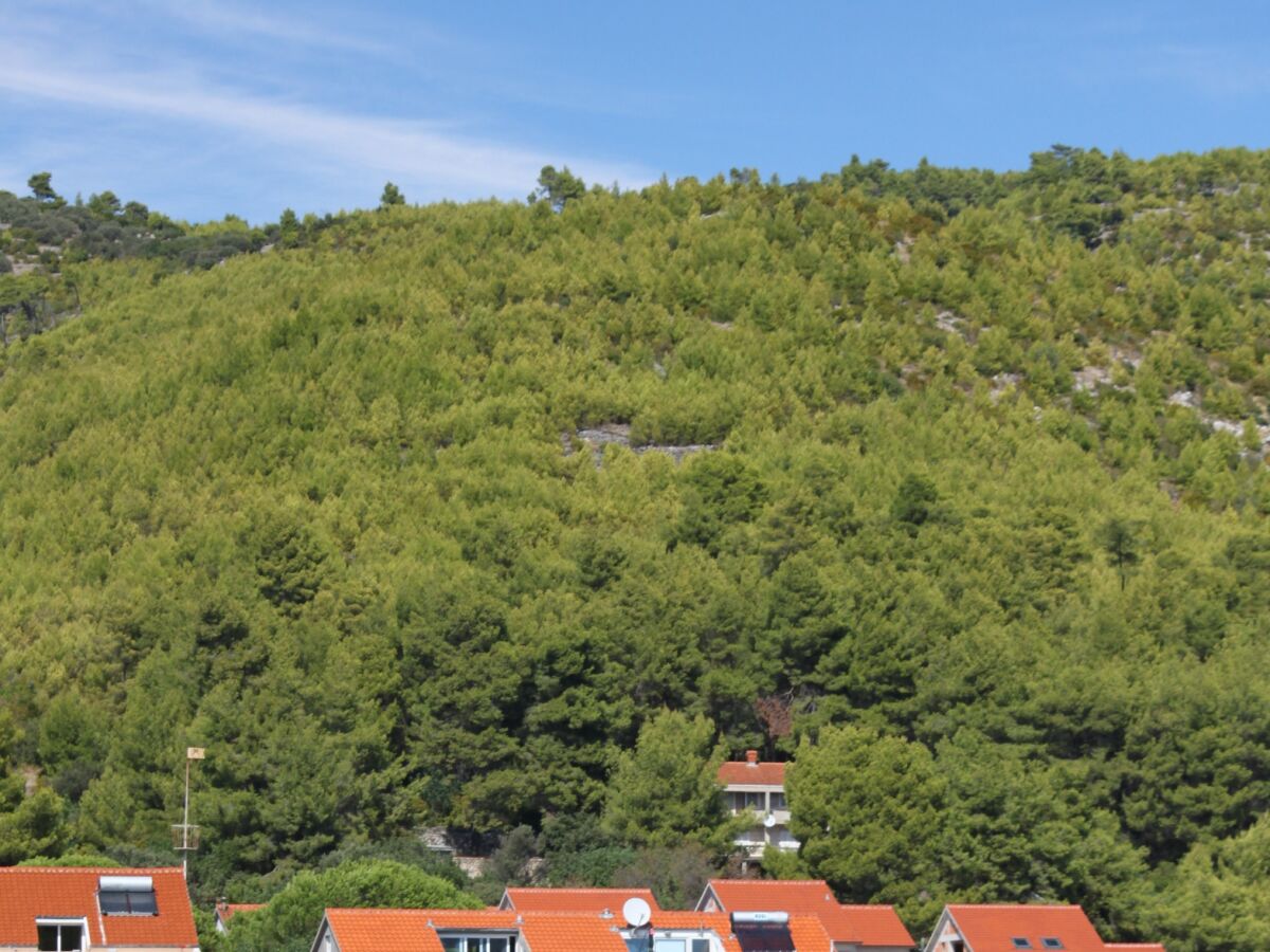 Apartment Studio flat near beach Prižba, Korčula AS-14385-a - Outdoor photo 3