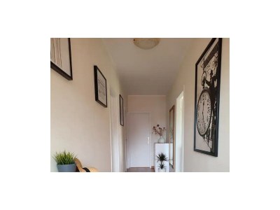 Apartment Three bedroom apartment with terrace Rovinj A-14153-a - Outdoor photo 29