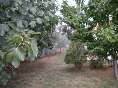 Apartment Two bedroom apartment with terrace Punat, Krk A-16307-a - Outdoor photo 5