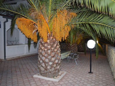 Apartment One bedroom apartment with balcony Cove Ljubljeva, Trogir A-14314-c - Outdoor photo 12