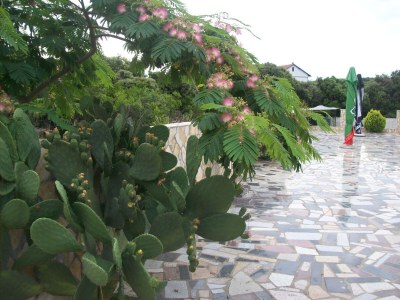 Apartment Three bedroom apartment with terrace Cove Ljubljeva, Trogir A-14314-e - Outdoor photo 16