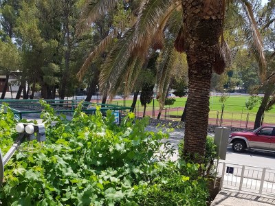 Apartment Studio flat with balcony Makarska AS-16521-a - Outdoor photo 4