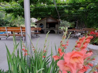 Apartment Two bedroom apartment with terrace and sea view Supetarska Draga - Donja, Rab A-14425-d - Outdoor photo 22