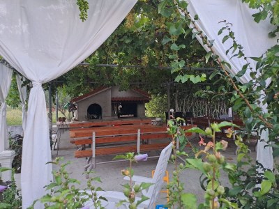 Apartment Two bedroom apartment with terrace and sea view Supetarska Draga - Donja, Rab A-14425-d - Outdoor photo 31