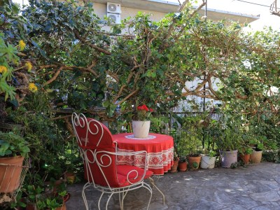 Apartment Two bedroom apartment with balcony and sea view Supetar, Brač A-16656-b - Outdoor photo 7