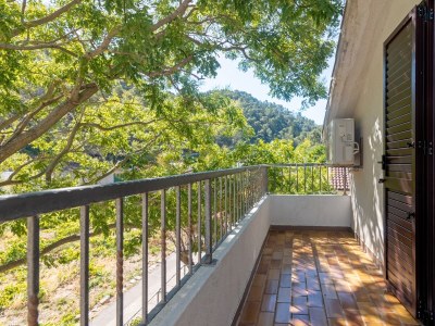 Apartment One bedroom apartment with balcony and sea view Cove Vela Stiniva, Hvar A-14511-c - Outdoor photo 33