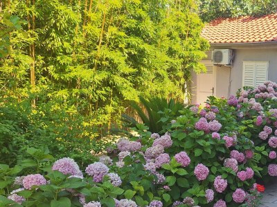 Apartment Apartments by the sea Rab - 14515 - Outdoor photo 7