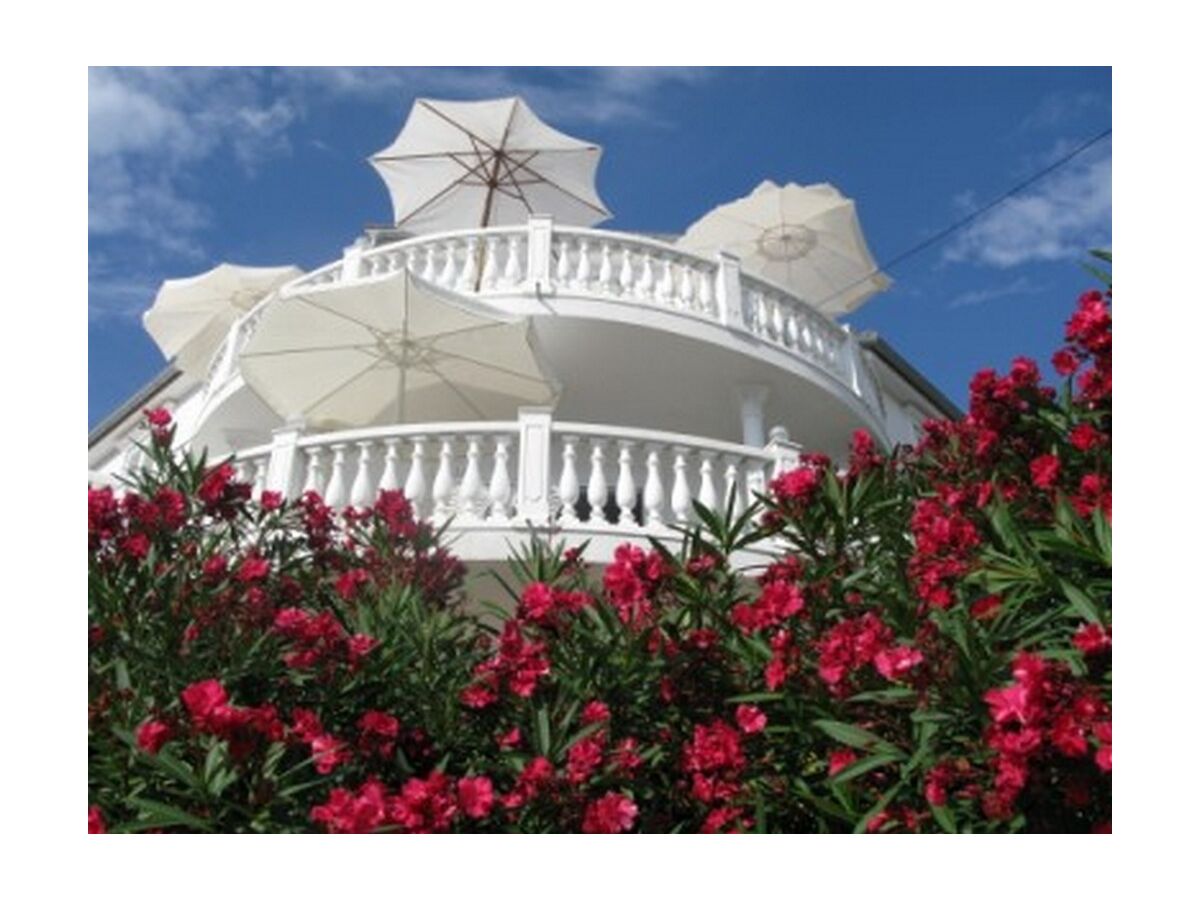 Apartment One bedroom apartment with terrace and sea view Barbat, Rab A-16816-a