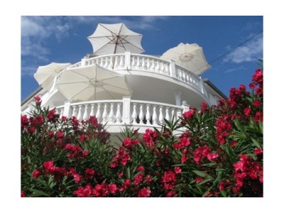 Apartment One bedroom apartment with terrace and sea view Barbat, Rab A-16816-a in Rab - Apartment