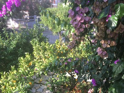 Apartment Apartments by the sea Petrčane, Zadar - 16828 - Outdoor photo 22