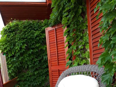 Apartment Apartments by the sea Petrčane, Zadar - 16828 - Outdoor photo 24