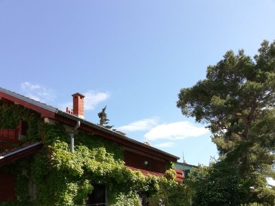 Apartment Apartments by the sea Petrčane, Zadar - 16828 - Outdoor photo 3