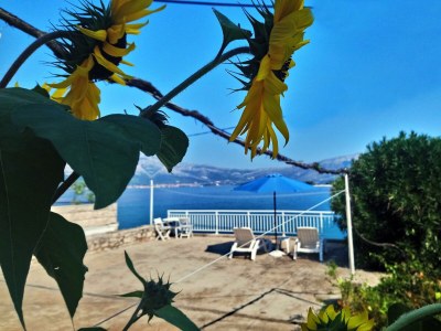 Apartment Studio flat near beach Lumbarda, Korčula AS-14647-b - Outdoor photo 8