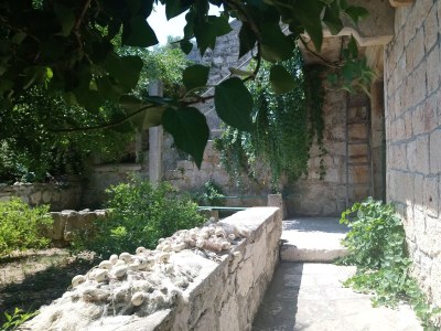 Holiday room near beach Lumbarda, Korčula S-14647-a - Outdoor photo 9