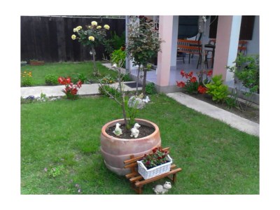 Apartment Two bedroom apartment with terrace Privlaka, Zadar A-14654-a - Outdoor photo 8