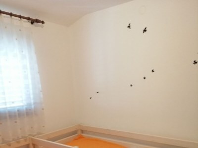 Apartment Two bedroom apartment with terrace Privlaka, Zadar A-14654-a - Outdoor photo 16