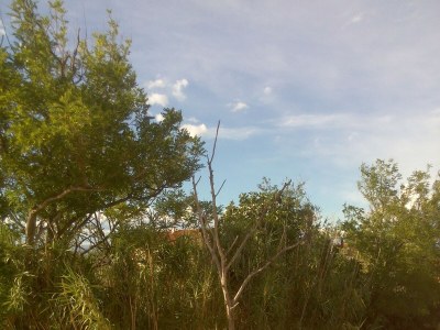 Apartment Two bedroom apartment with terrace Privlaka, Zadar A-14654-a - Outdoor photo 27