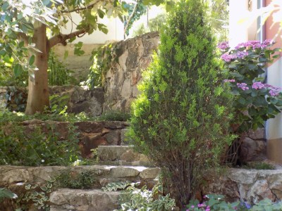 Apartment One bedroom apartment with terrace and sea view Vinišće, Trogir A-16928-a - Outdoor photo 8