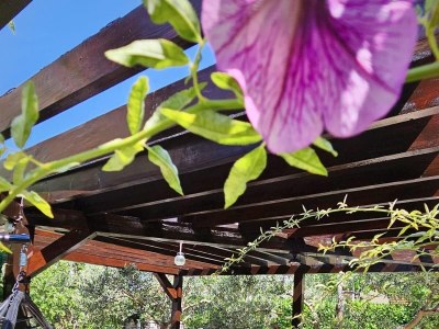 Apartment Two bedroom apartment with terrace Vodice A-15228-b - Outdoor photo 14