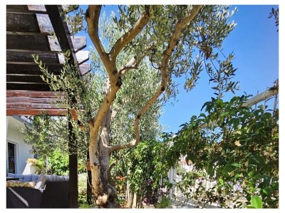 Apartment Two bedroom apartment with terrace Vodice A-15228-b - Outdoor photo 16